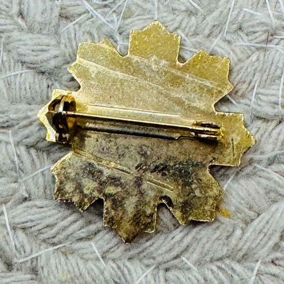 Red River Ski Area Gold Brooch - Picture 4 of 4